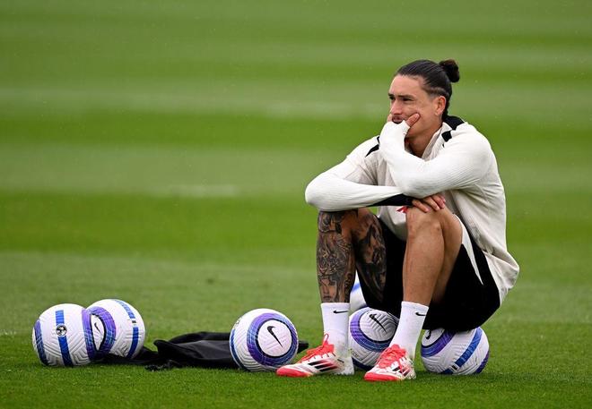 的进攻主导 的进攻主导